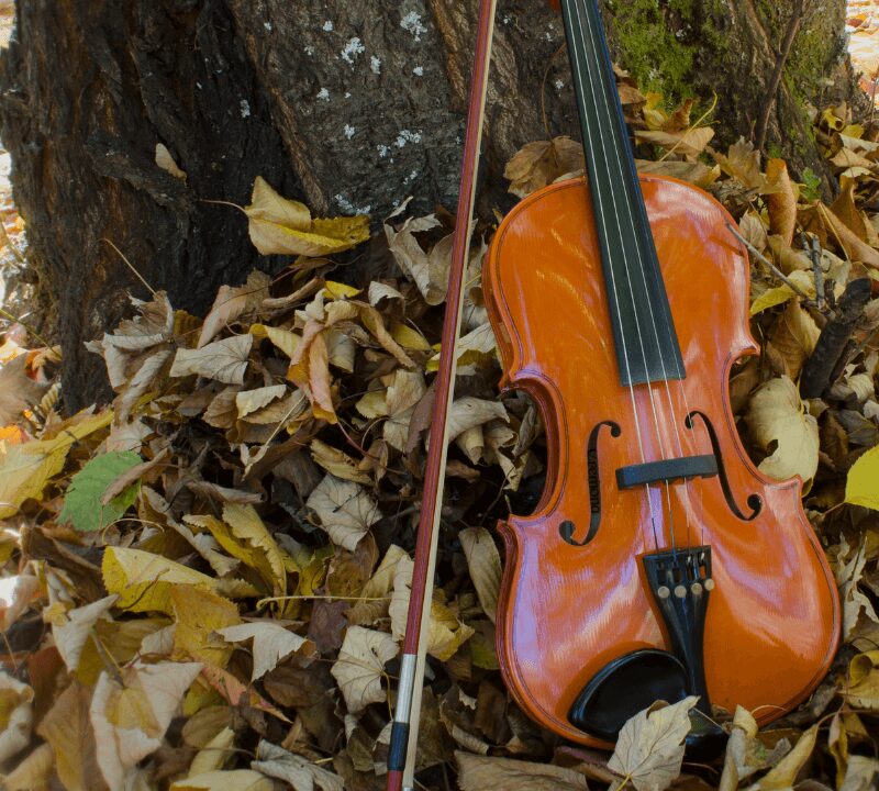 A brown violin and bow leading against the base of a tree, surrounded by autumnal leaves.